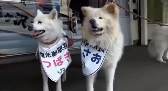 夫妻性生活视频品商
