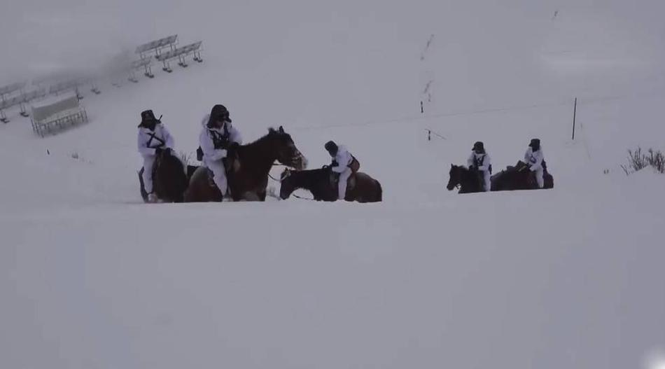 搞基软件