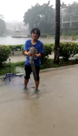 五十岁老熟妇淫乱视频