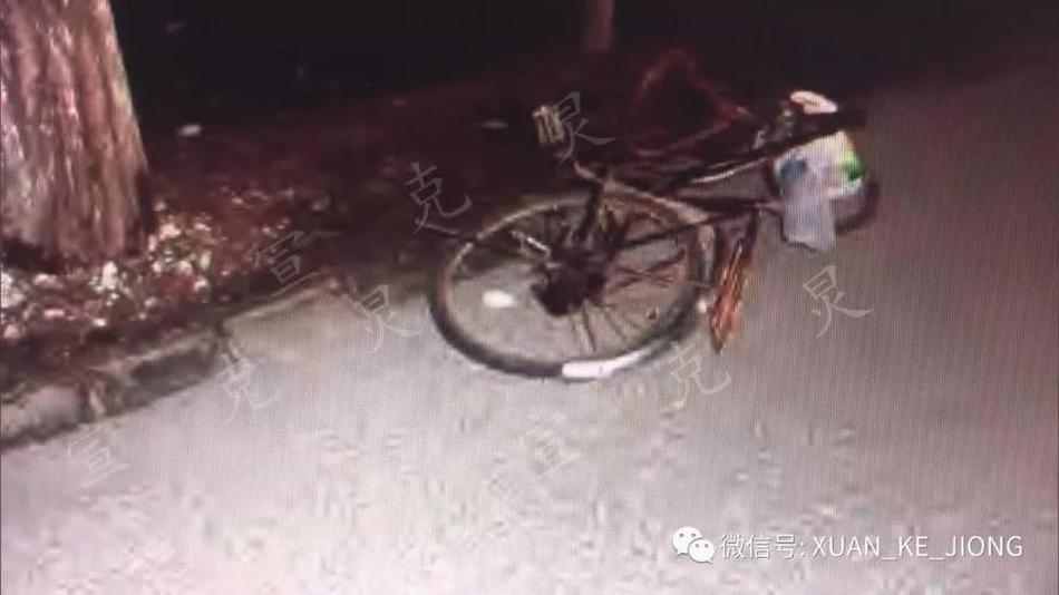 欧美极度另类潮喷