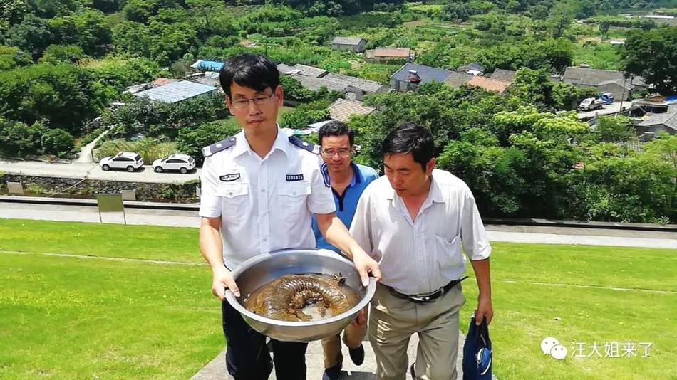 7799视频精品全部免费视频都是热门的吗