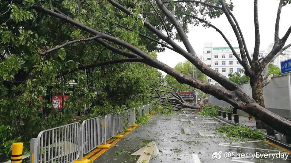 国产福利网站
