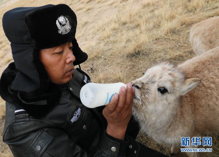 亲戚的娘子日逼片