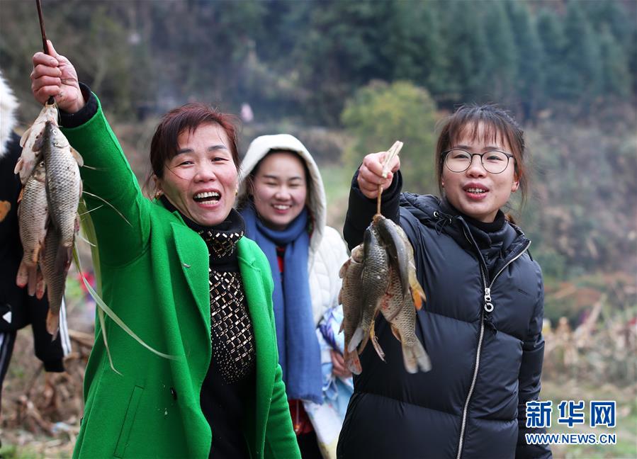 黄黄的网站