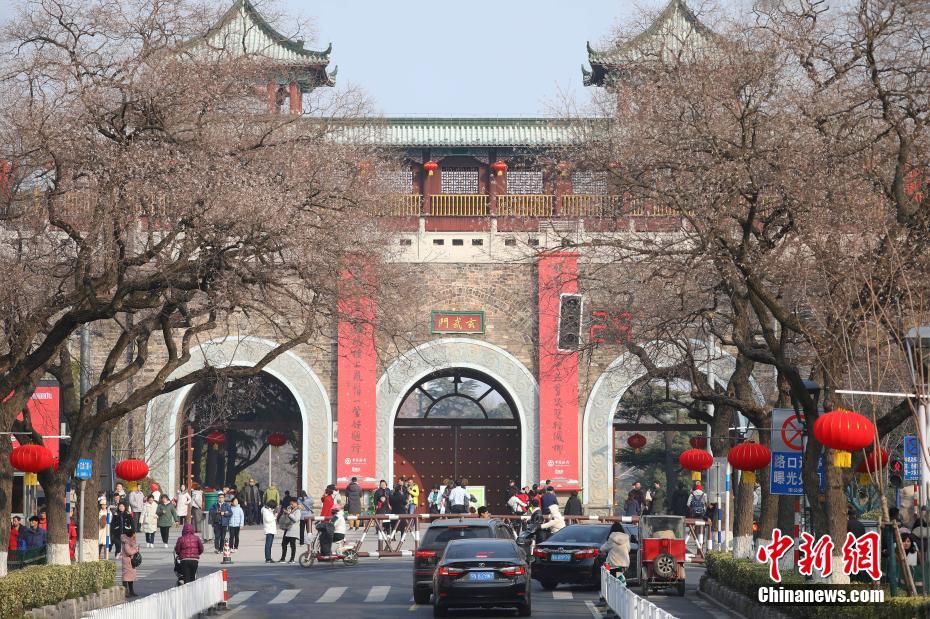 亚州无码一区＝区乱伦片