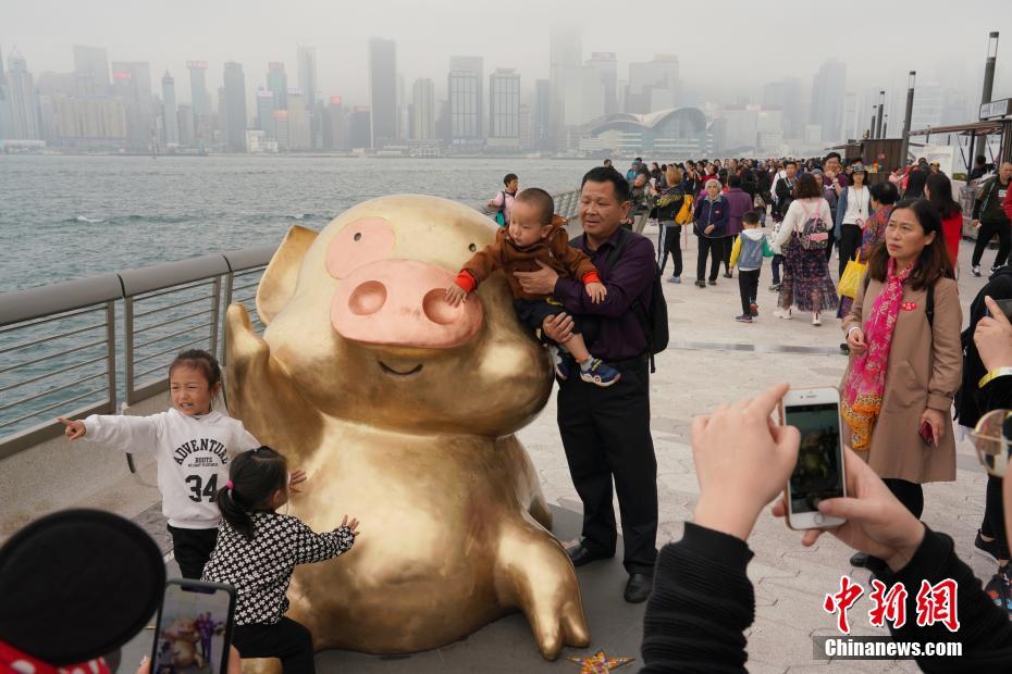 熟妇大屁股艹逼