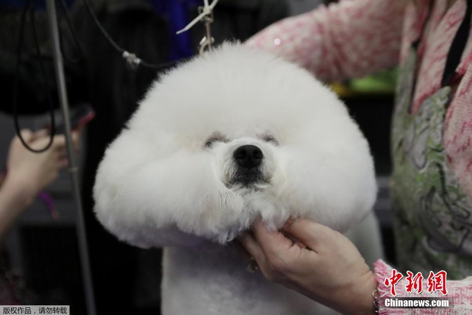 一级理论片