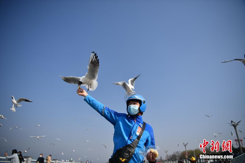 免费在线黄色视频