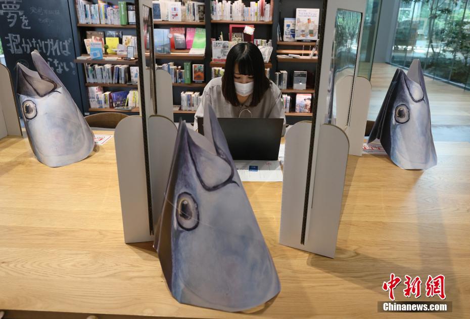 日韩无套中出综合