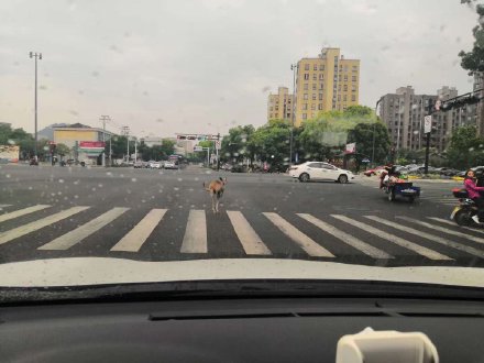 公交车上内裤滑进去了会怎么样