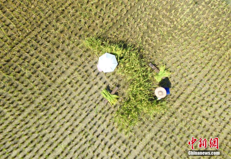亚洲精品国产一区