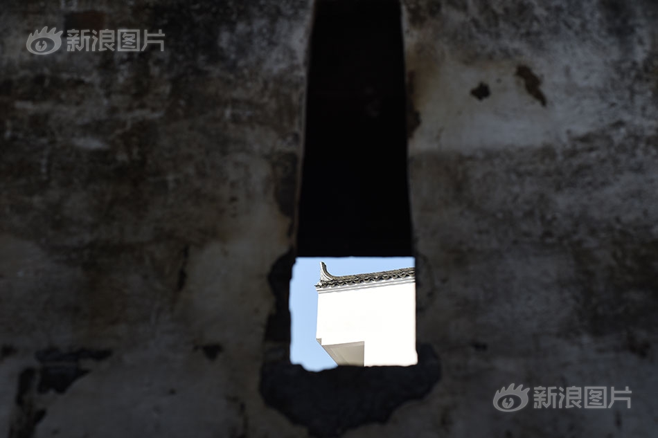 啪啪啪免费