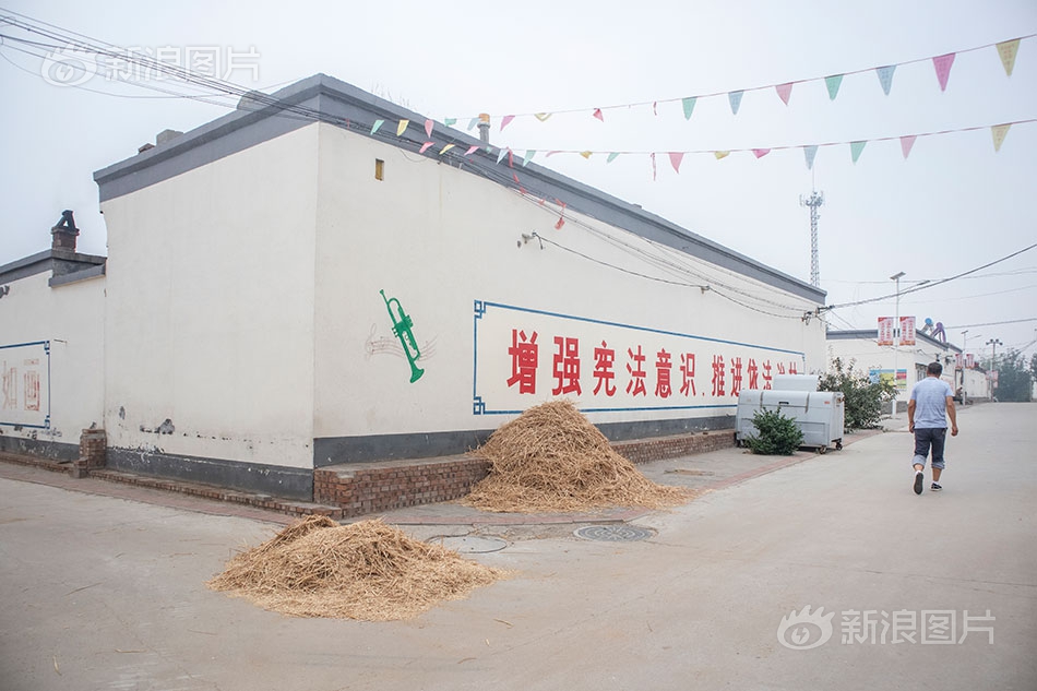 免费观看欧美最污最黄视频胖子