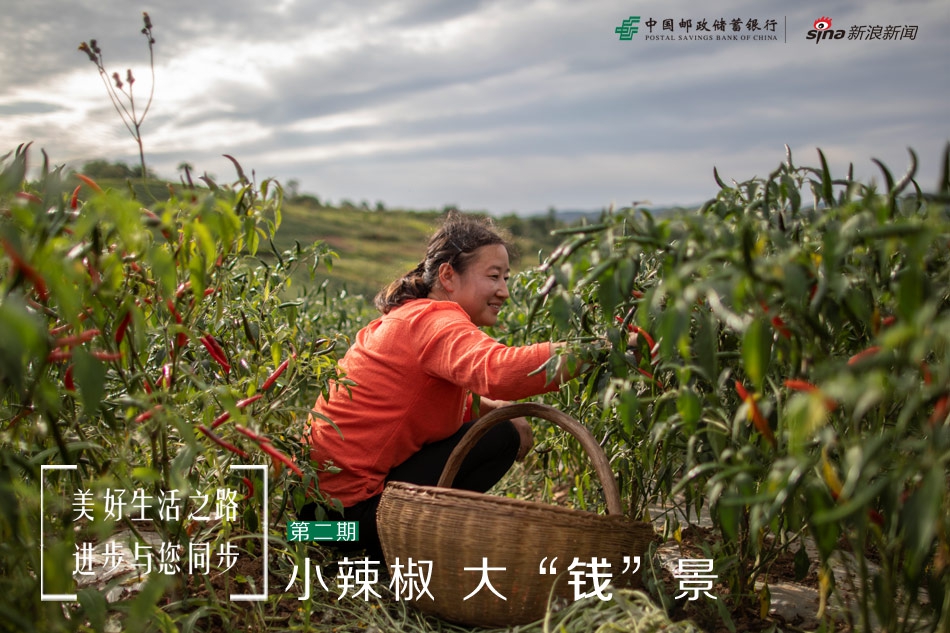 隔壁小姐姐