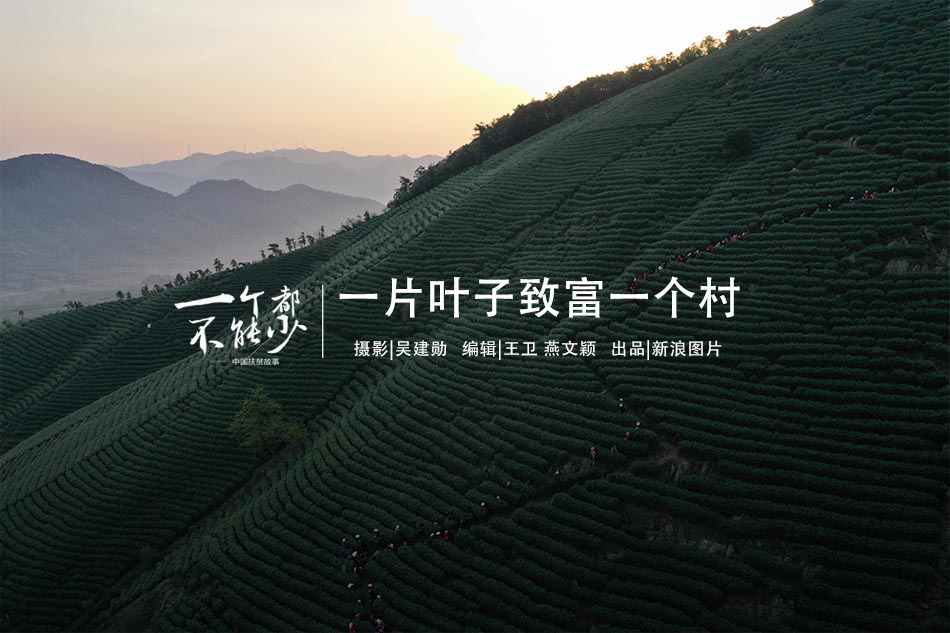 欧美污视频网站