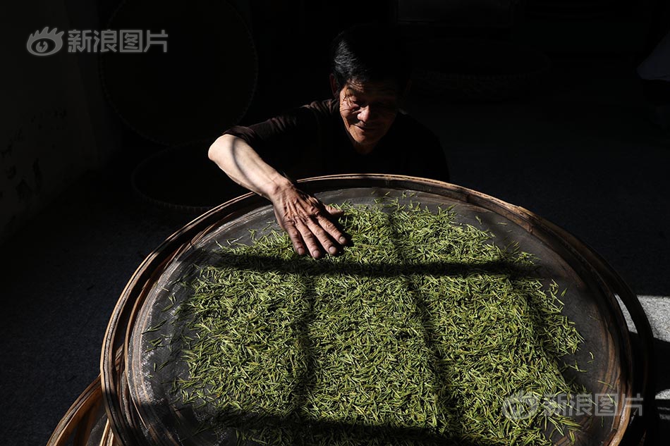 一级片夫妻姓生活片
