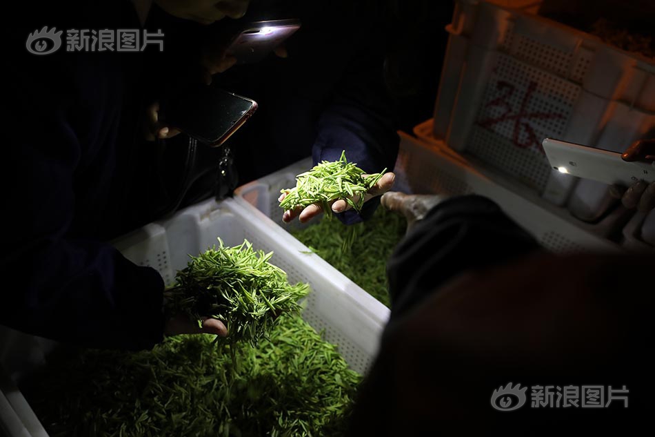 欧美一区二区三区另类香蕉视频网战