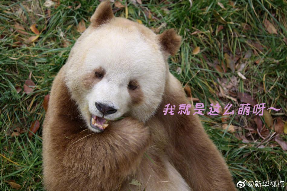 一级欧美