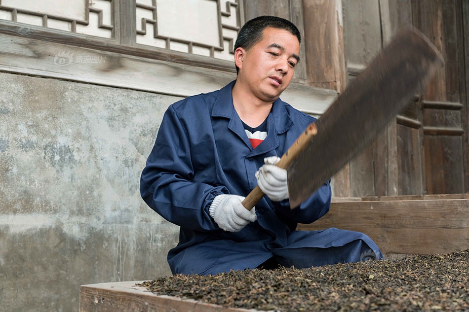 人一禽一交一视一频下一句是什么