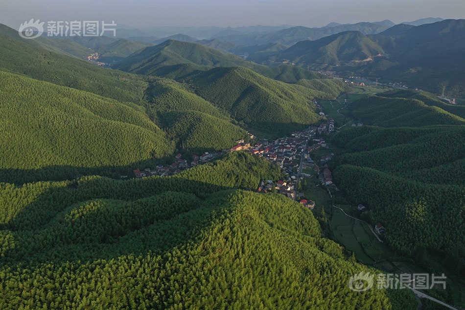 伦理片韩国三级片