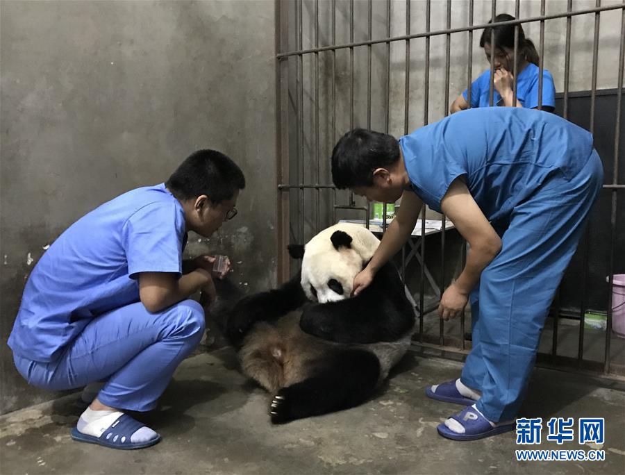 欧美特级黄色录相
