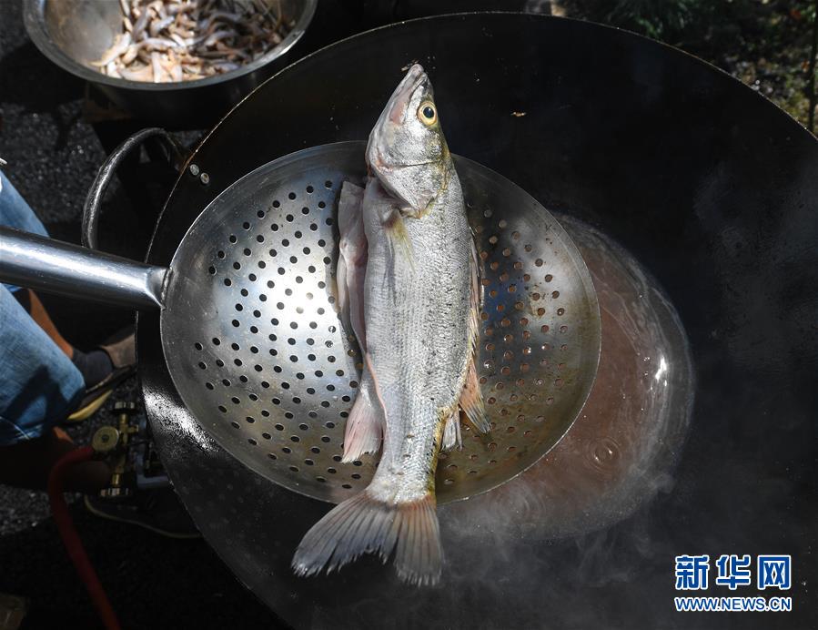 開云下載安卓版二維碼