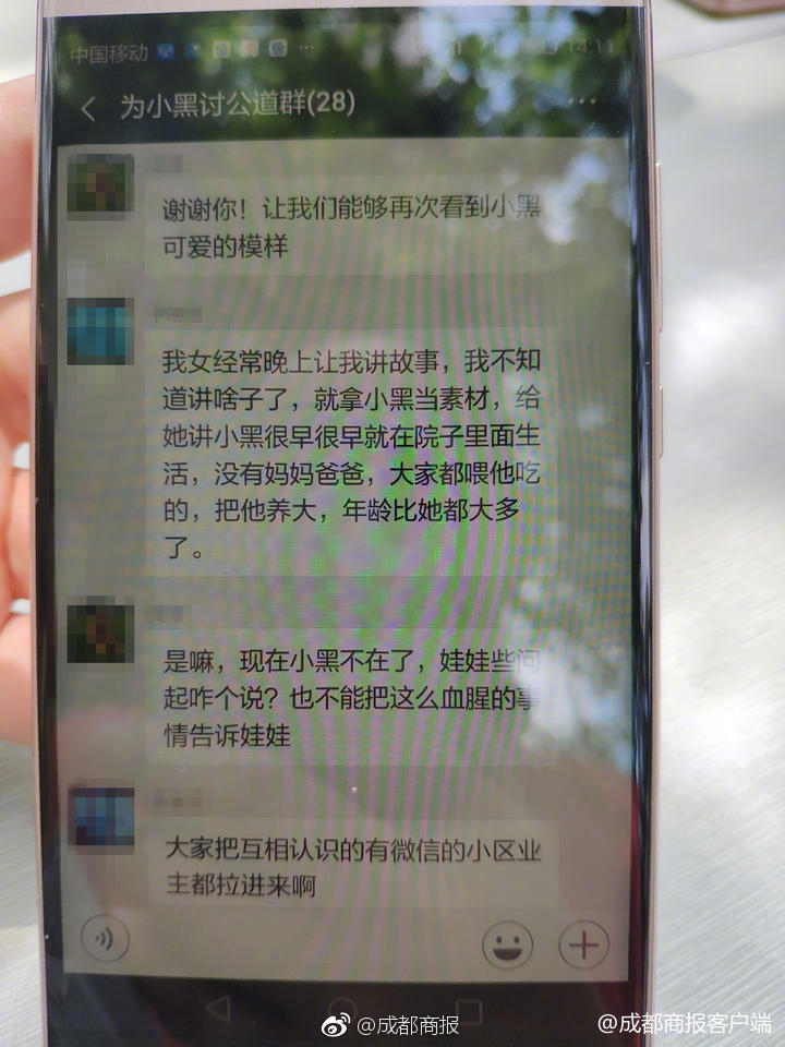 老太Videodes性爽Hd