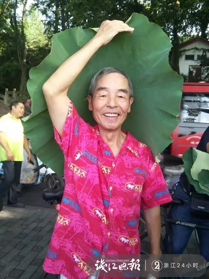 美女的黄色视频