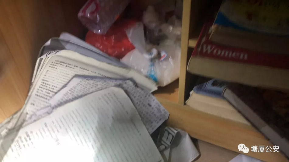 成人 视频免费观看网站