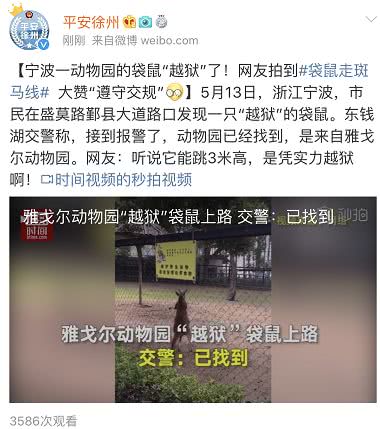 扒开美女 狂揉 动漫