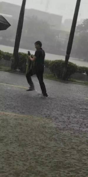 柚子猫