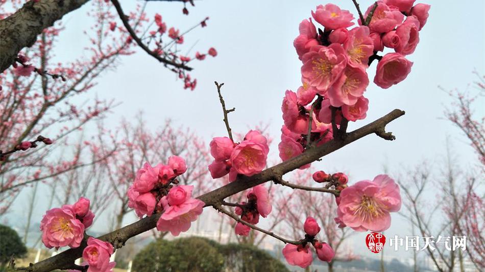 免费看美女秘 隐私