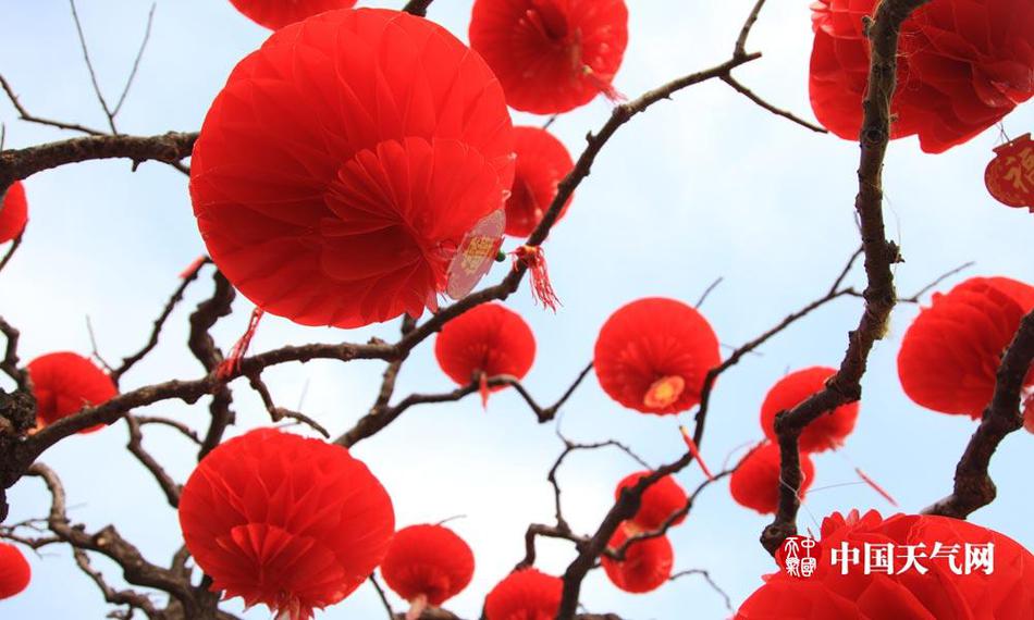 成人 色情 App