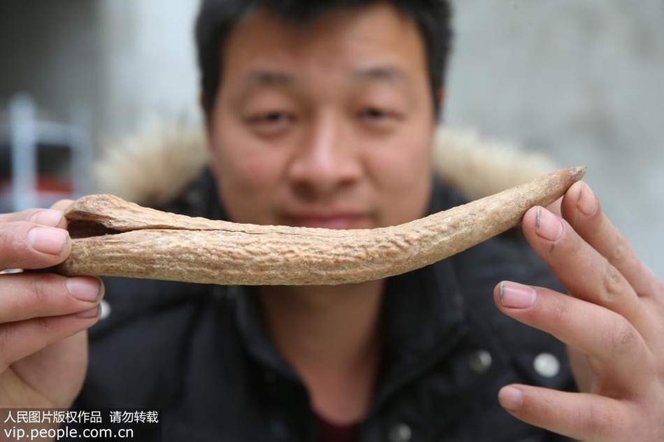女人扒开腿秘 打扑克动漫原神