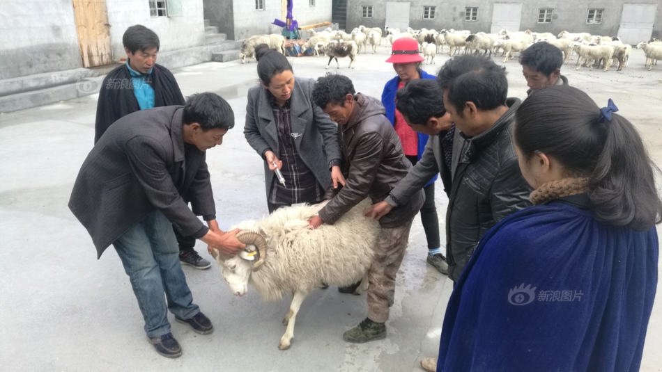 女人与拘一级毛片