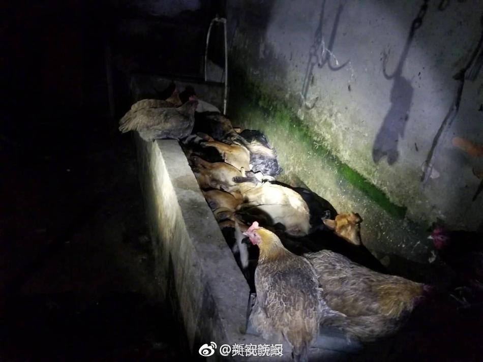 台湾处破女无删减电搜索港台一级片影