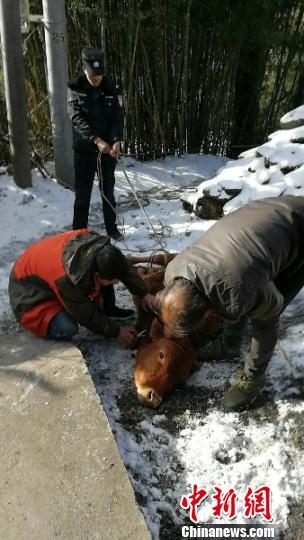 老师脱了内裤让我进去