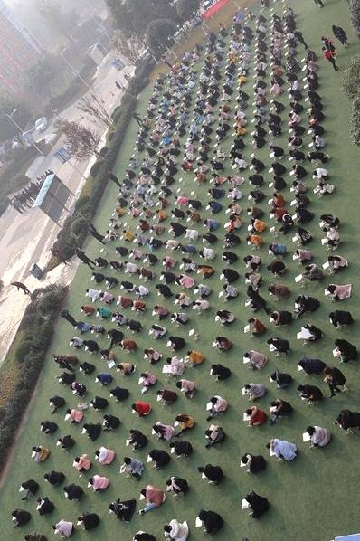 成人毛片18女人毛片真水