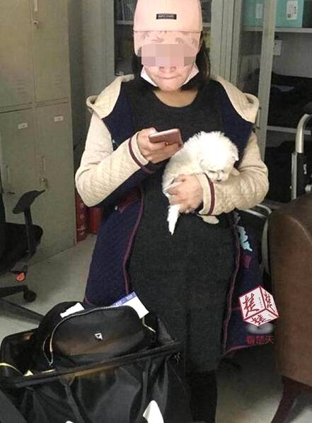 女性脱 给我揉 的拉屎动漫