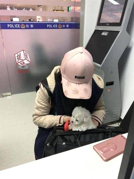 内地男同Gay片