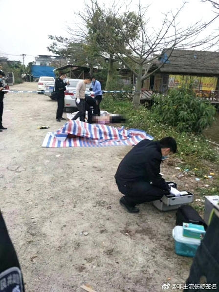 白丝校 脱白丝让我漫画