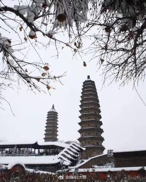 触手护士的榨精病院