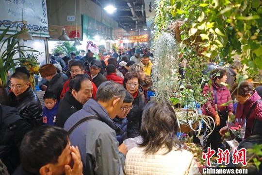 肥嫩多毛的大荫户巴西