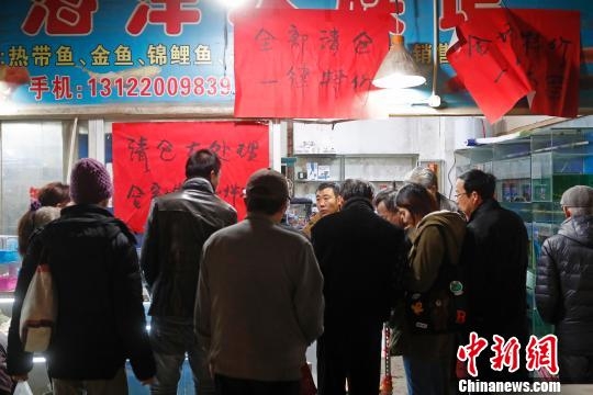一区在线观看