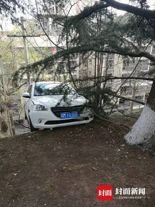 鲁大师影院在线观看电视视频