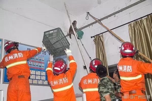潮美舞