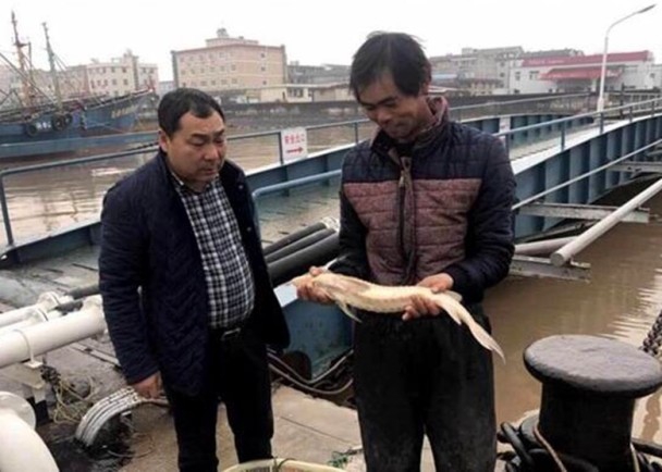 人体艺术毛片一级黄色