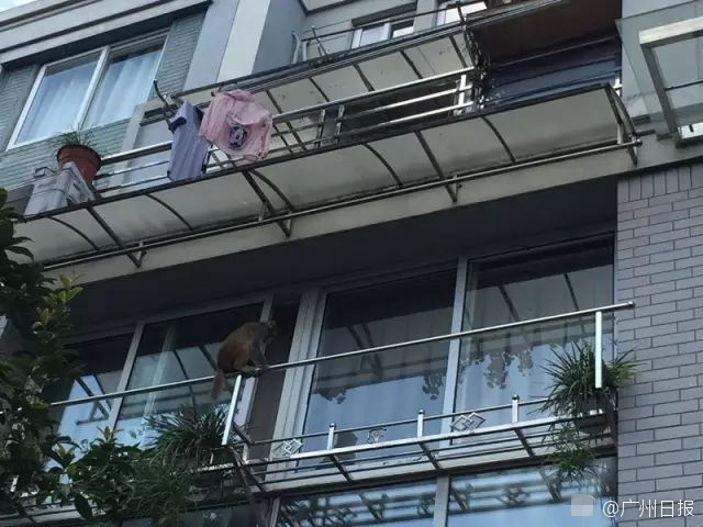 91精品久久久久久粉嫩
