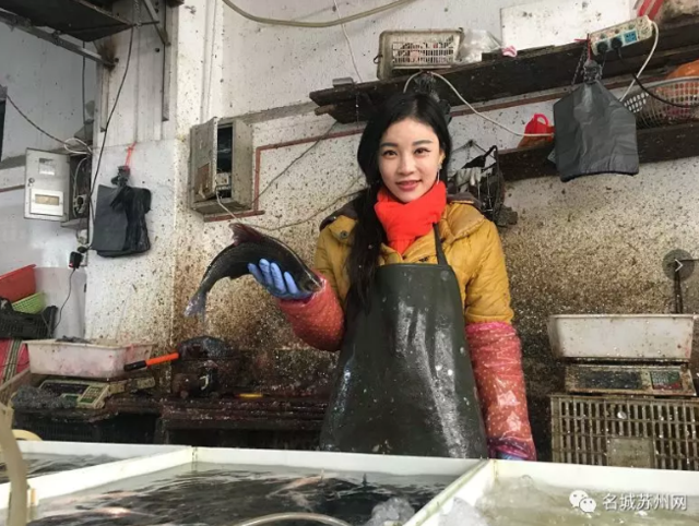 艾美琦