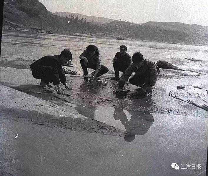 欧洲一级生活黄片